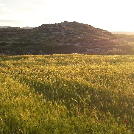 Al Jatib